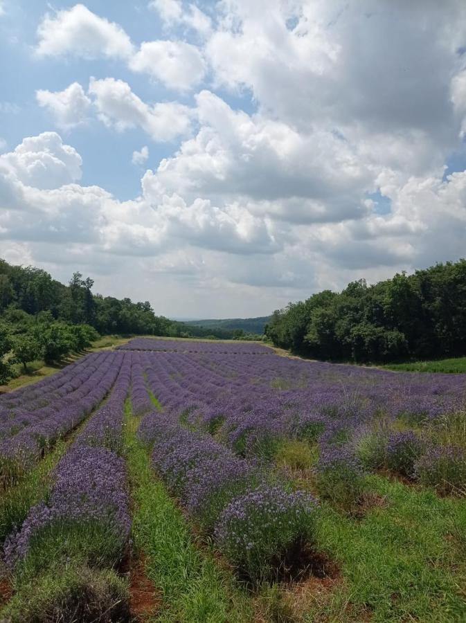 Alloggio La Perla, Quiete Ed Eleganza Con Vista Barbarano Vicentino Bagian luar foto