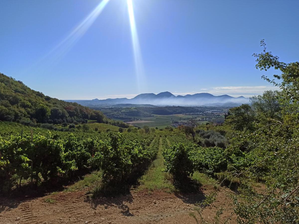 Alloggio La Perla, Quiete Ed Eleganza Con Vista Barbarano Vicentino Bagian luar foto