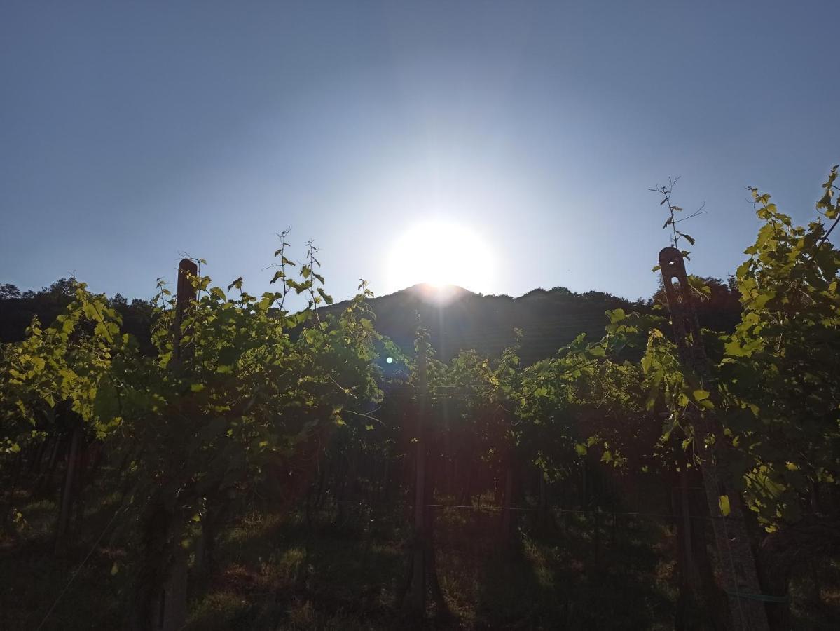Alloggio La Perla, Quiete Ed Eleganza Con Vista Barbarano Vicentino Bagian luar foto
