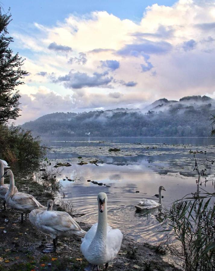 Alloggio La Perla, Quiete Ed Eleganza Con Vista Barbarano Vicentino Bagian luar foto