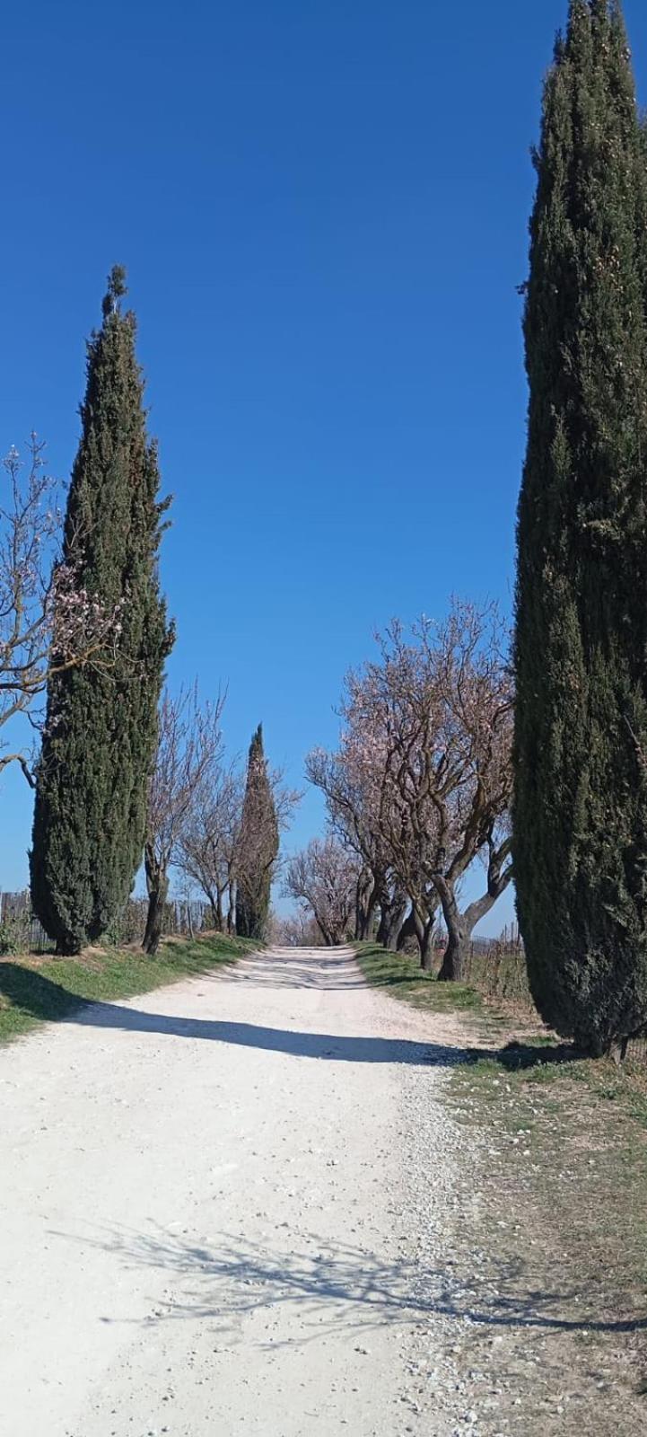 Alloggio La Perla, Quiete Ed Eleganza Con Vista Barbarano Vicentino Bagian luar foto